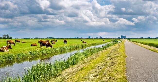 Mindfulness laat je weer van harte leven