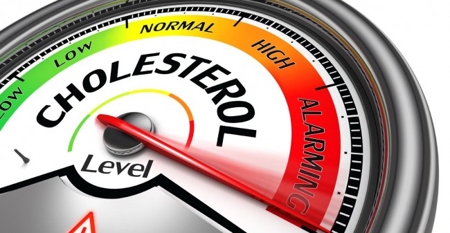 Cholesterol,  een grote weldoener