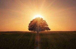 Hoe wil je dat je uitvaart eruitziet?