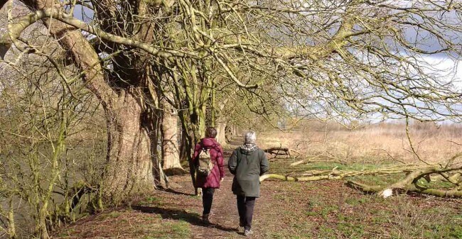 Wandelen maakt licht