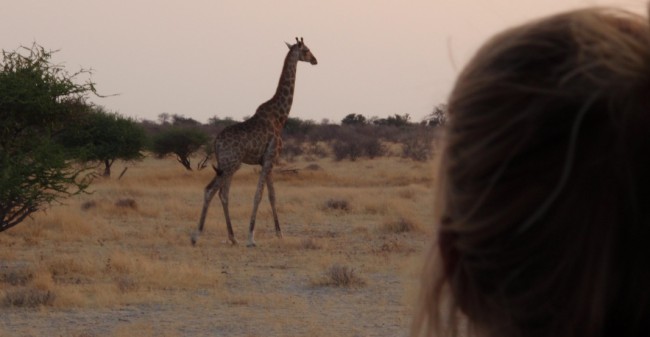 Onbezorgd op vakantie…