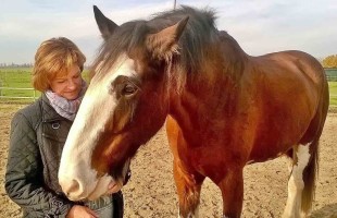 Weer energiek en levenslustig