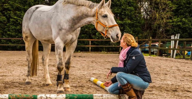 Leren van een paard