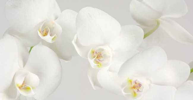 Werken aan je herstel