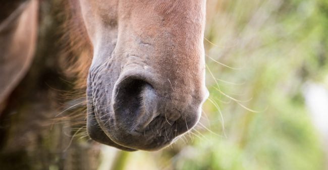 Weer energiek en levenslustig