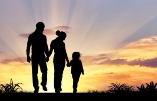 Huisje, boompje, beestje en ander (on)gemak