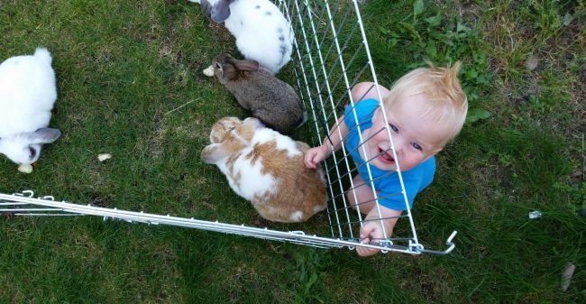 Een plek waar je blij van wordt!