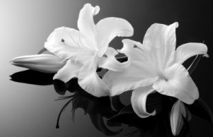 Niets is persoonlijker dan een uitvaart