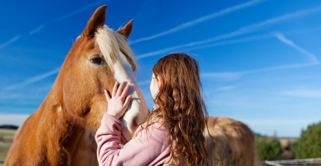 Groeien met paard en hond