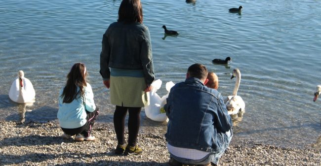 Symmetrie terug met een deelprothese