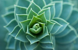 Uit je hoofd, in het leven