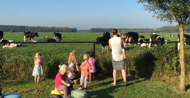 Kinderopvang op de boerderij