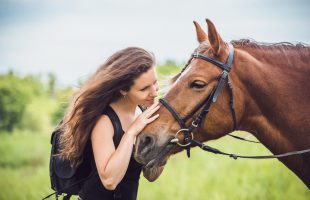 Een paard als co-coach bij stress of burn-out