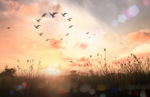 Iedere uitvaart is anders & uniek