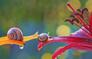 ‘Het hoeft niet altijd te gaan over zware onderwerpen’