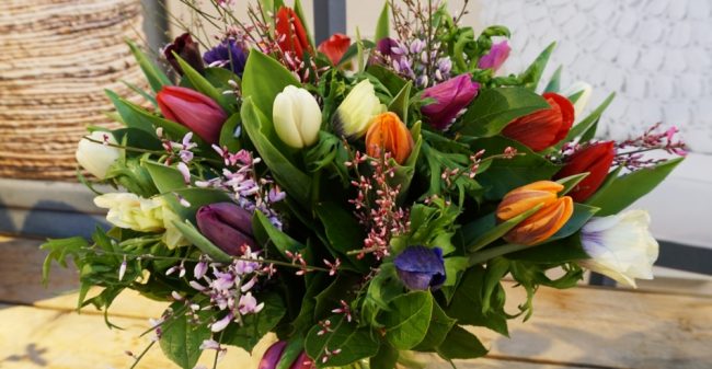 De mooiste voorjaarsbloemen