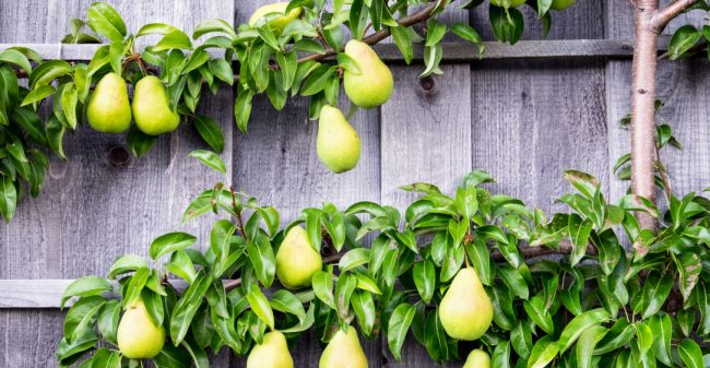 Minimale moeite, maximaal genieten