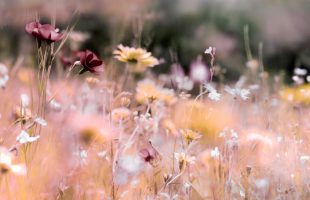 Omgaan met een verlies is een continue uitdaging