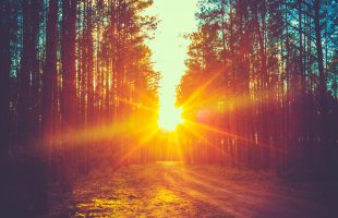 Kun jij je gevoelens omarmen?