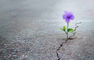 ‘Voorgesprek helpt nabestaanden enorm’