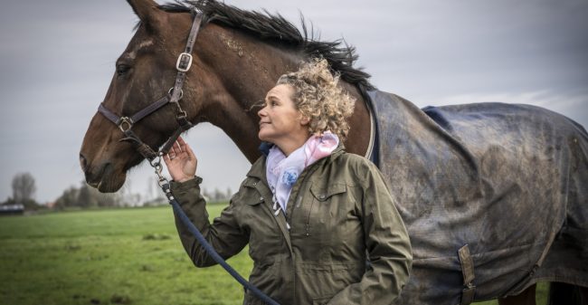 Laat het paard je helpen