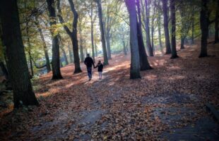 De diagnose… Hoe nu verder?