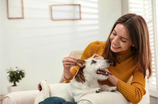 Goed om kunnen gaan met verschillende dieren