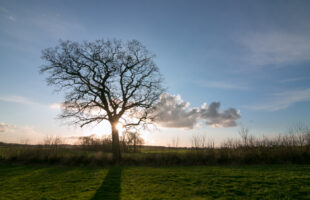 Eeuwige rust in de natuur