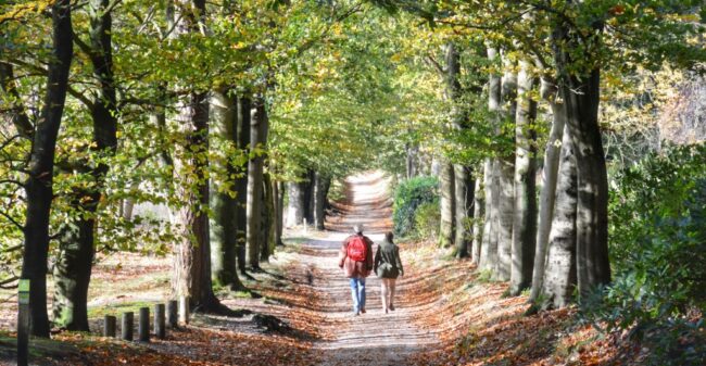 Ultiem genieten op de Utrechtse Heuvelrug