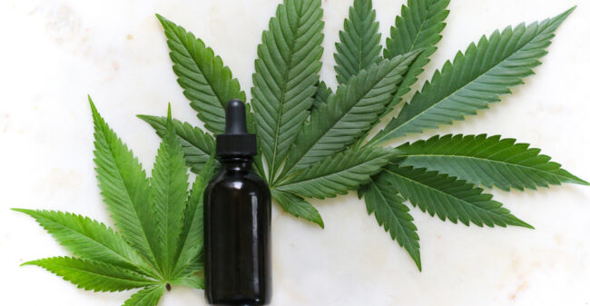 Wat zijn de gezondheidsvoordelen van CBD-olie?